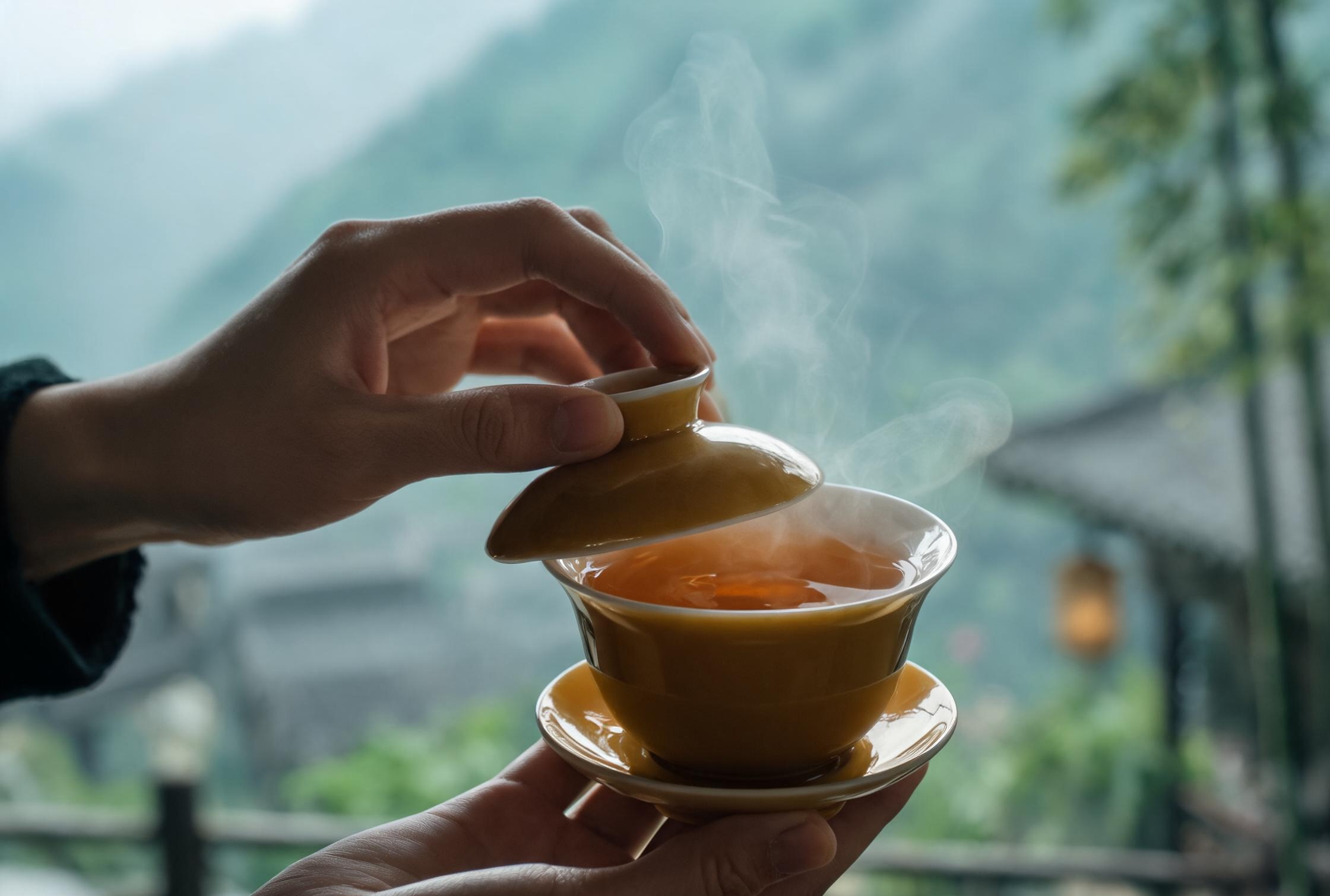 端盖碗的标准手势特写：无名指和小指托住茶船边沿，拇指扣住盖钮，食指与中指轻扶碗身